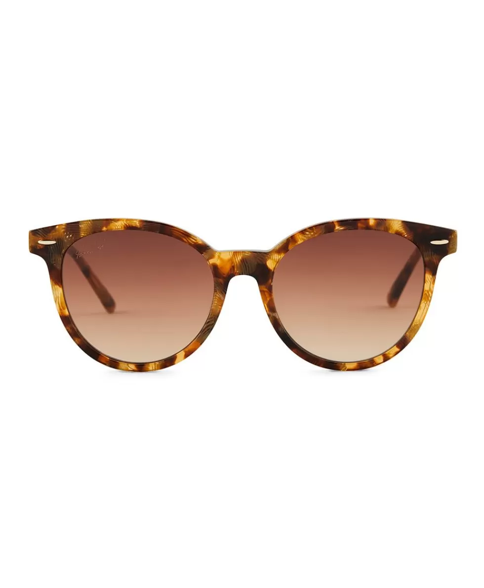 Patricia Nash Blondie Sunglasses Hot