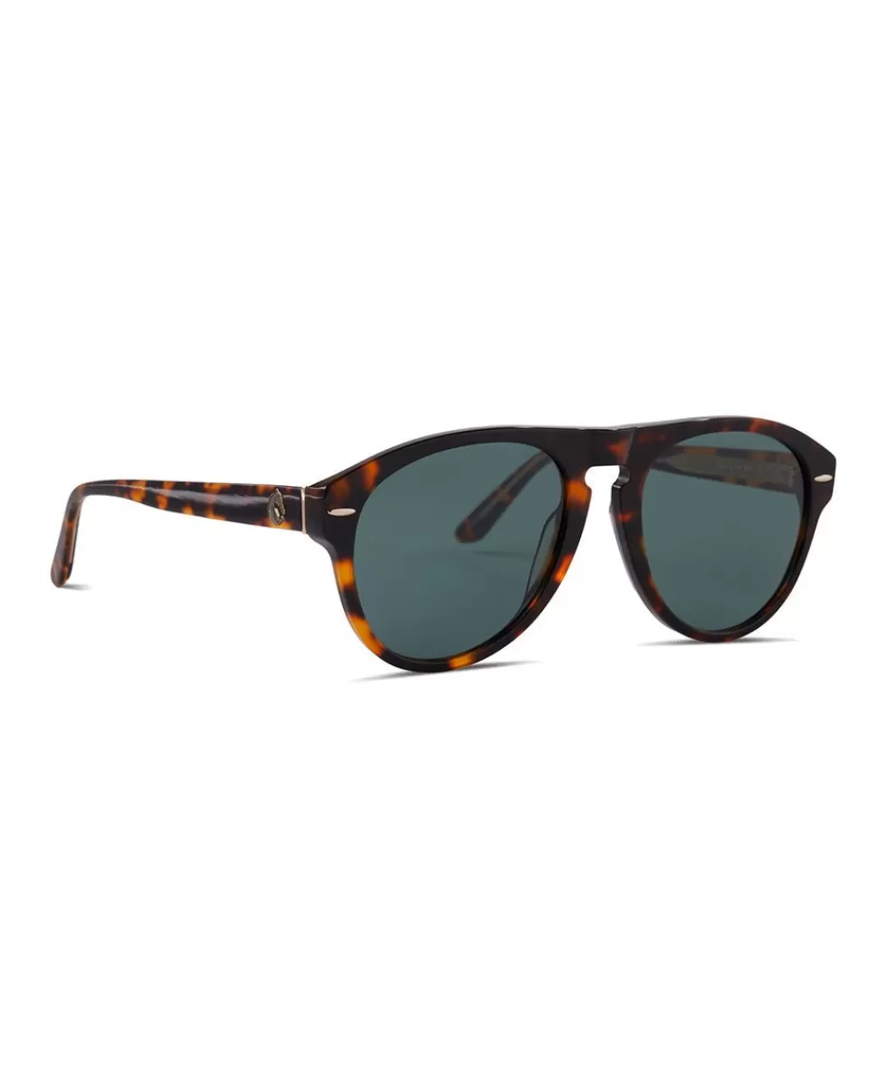 Patricia Nash Mcqueen Sunglasses Fashion