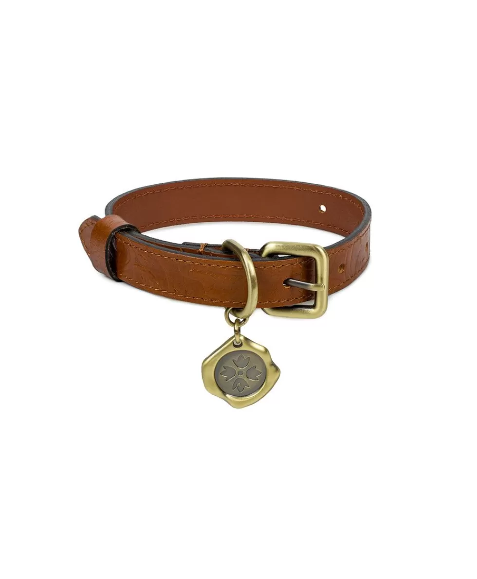 Patricia Nash Pet Collar Online