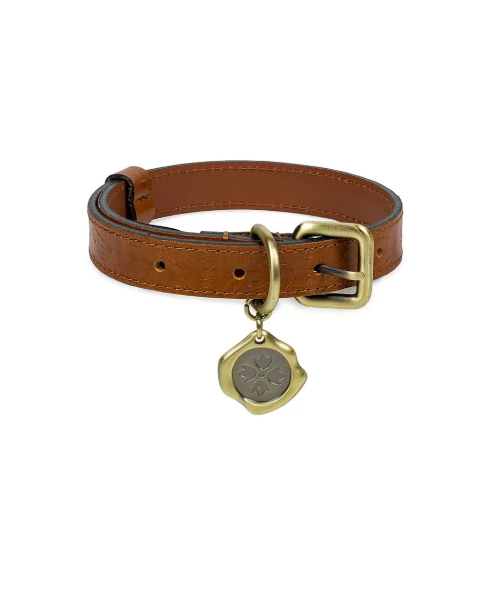 Patricia Nash Pet Collar Online