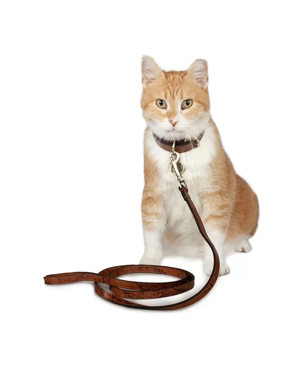 Patricia Nash Pet Leash 1/2" Width Cheap